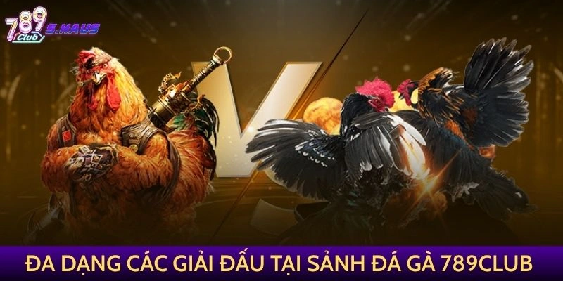 Đa dạng các giải đấu và loại hình cá cược tại sảnh Đá Gà 789Club