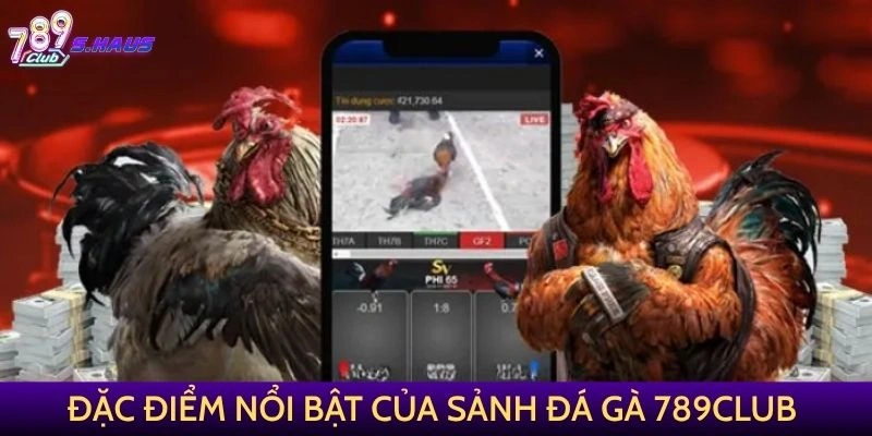 Đặc điểm nổi bật của sảnh Đá Gà 789Club