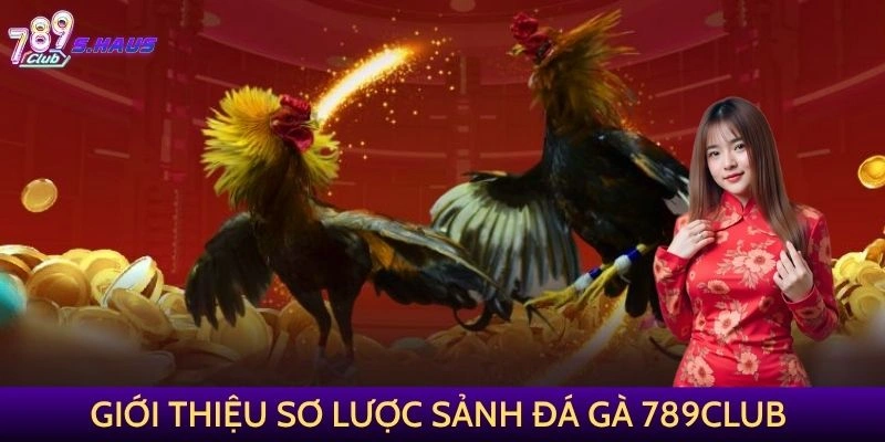 Giới thiệu sơ lược sảnh Đá Gà 789Club